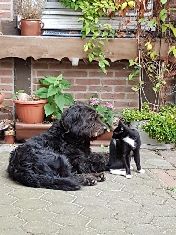 Ferienhof Hanum Bagian luar foto